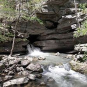 Debi Segraves's photo