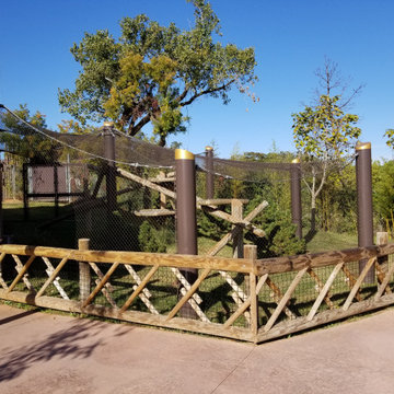 Oklahoma City Zoo - AZFA Red Panda Animal Exhibit (2019)