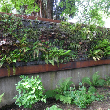 Green Living Wall