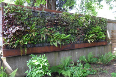 Kleine, Schattige Industrial Pflanzenwand im Frühling, hinter dem Haus mit Metallzaun in Portland