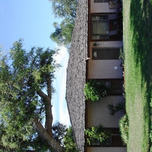 home