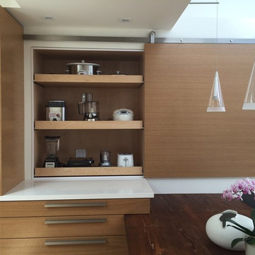 Custom Homes-SD Modern Remodel