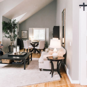 Rustic Modern Chic Sliding Barn Doors & Shutters