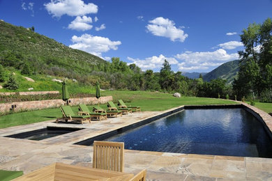 Example of a backyard stone and rectangular pool design in Denver