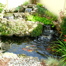 Ponds