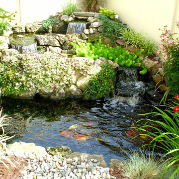 Water Features