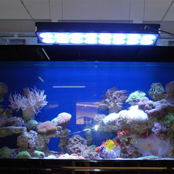 LED Aquarium Light - Products