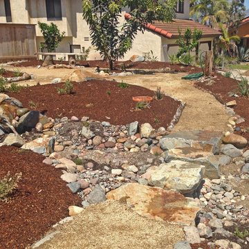 Scripps Ranch Naturalistic Kid-friendly Landscape