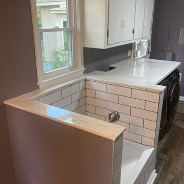 Man Cave, Dog Washing Station & Bath Remodel