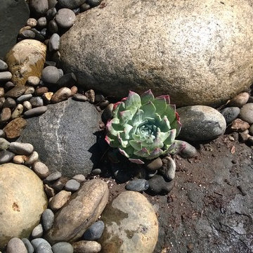River Cobble Stream