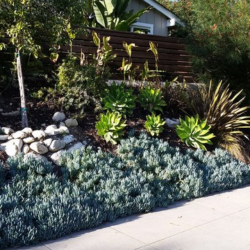General Clean-up & Plant Additions