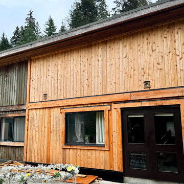 Aging cedar (wood) siding with brand-new cedar plank