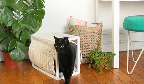 DIY : Une cabane pour chat avec griffoir