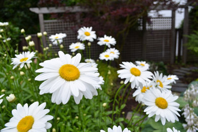 Design ideas for a traditional landscaping in Portland.