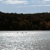 Peggy Dougherty-Hayes's photo