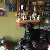 Steve Qualitza's photo