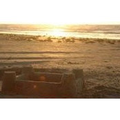 Kelsy Holt's photo