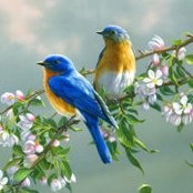 Lucy Ruffini's photo