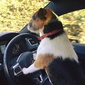 Liz Reeve's photo