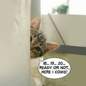 Foto de Kathy Eudy
