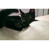 Ju-Han Li's photo