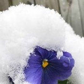Lori Curry's photo