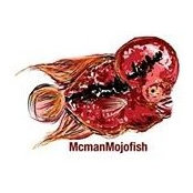 Foto von Mcman Faderfish