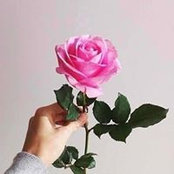 Shaimaa Farid's photo