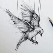 Cady Wilder's photo