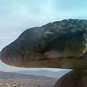 Foto de José Luna
