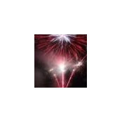 Wendy Olson's photo