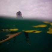 Alex Tangerine's photo