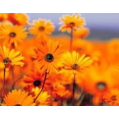 Roselyne Bremo's photo
