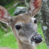 John Graham's photo