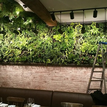 151 Atlantic Avenue - Greenwall AND Green Ceiling