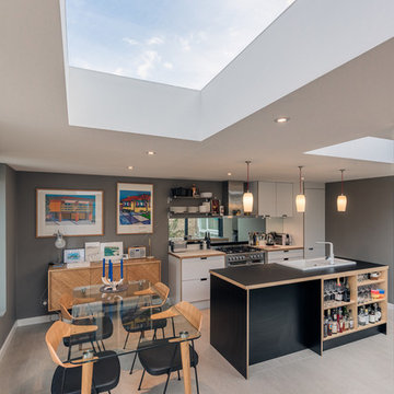 Teddington Extension - Wimshurst Pelleriti