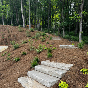 Asheville - Challenging Terrain Project