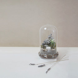Terrarium in shapes - Products