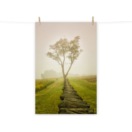 Wall Art Print Landscape Photograph Calming Morning Rural Unframed, 12" X 18"