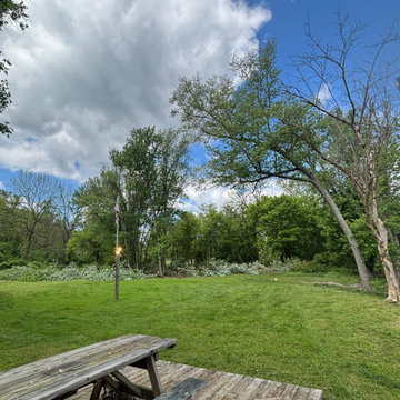 Complete Outdoor Property Improvement and Tree Service