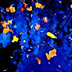 Photography - Artwork