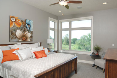 Mid-sized transitional master carpeted bedroom photo in Other with gray walls and no fireplace