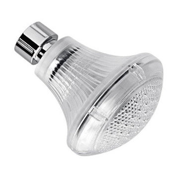 LED Color-Changing Lamp Showerhead With Flex Arm