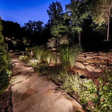 Backyard Pool and Patio Lighting Project