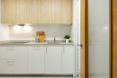 Modelo de cocina alargada nórdica de tamaño medio con armarios con paneles lisos