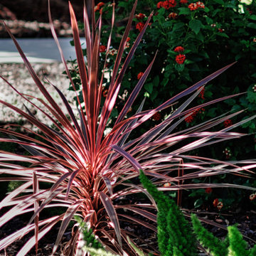 Transform Your Outdoor Space: Modern, Rustic Ideas You'll Love
