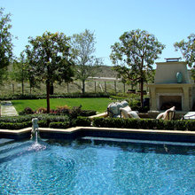 csw backyard