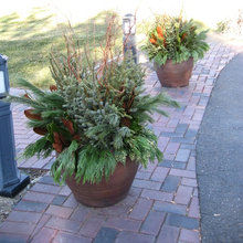 planters