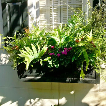 Southern Window Boxes