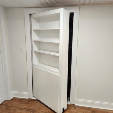Basement Remodel